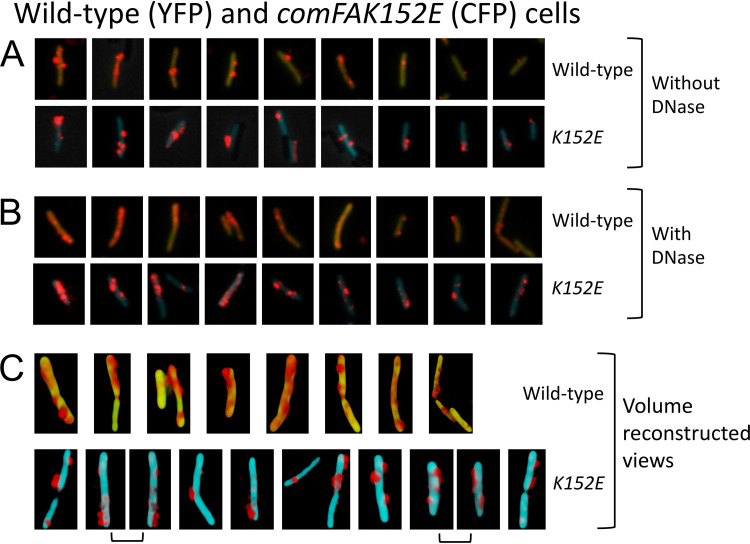 FIG 3