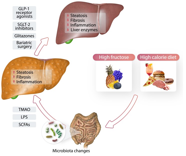 Graphical Abstract