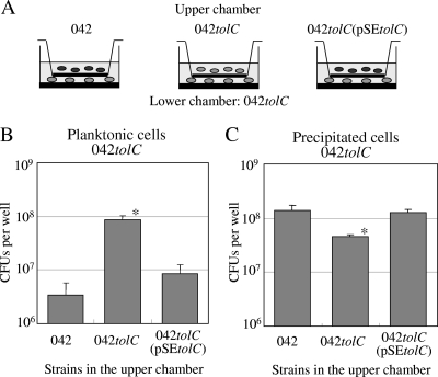 FIG. 8.