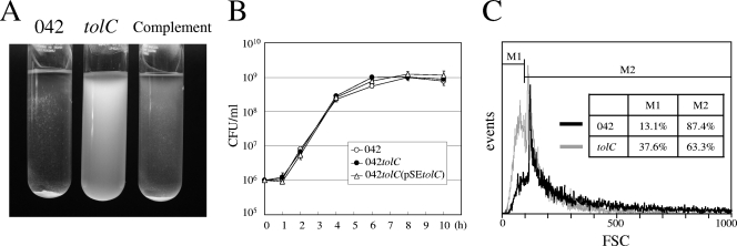 FIG. 2.