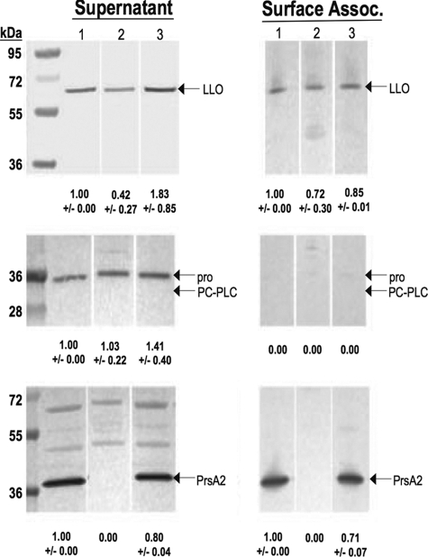 FIG. 5.