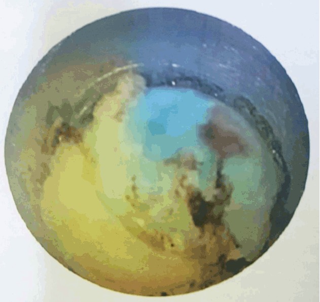 Fig. 10