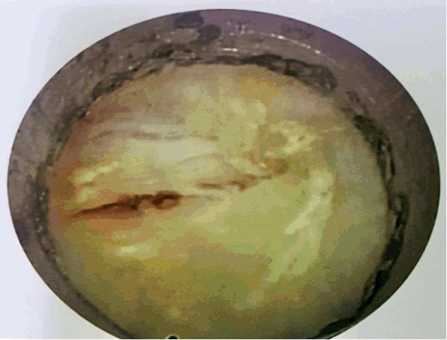 Fig. 9