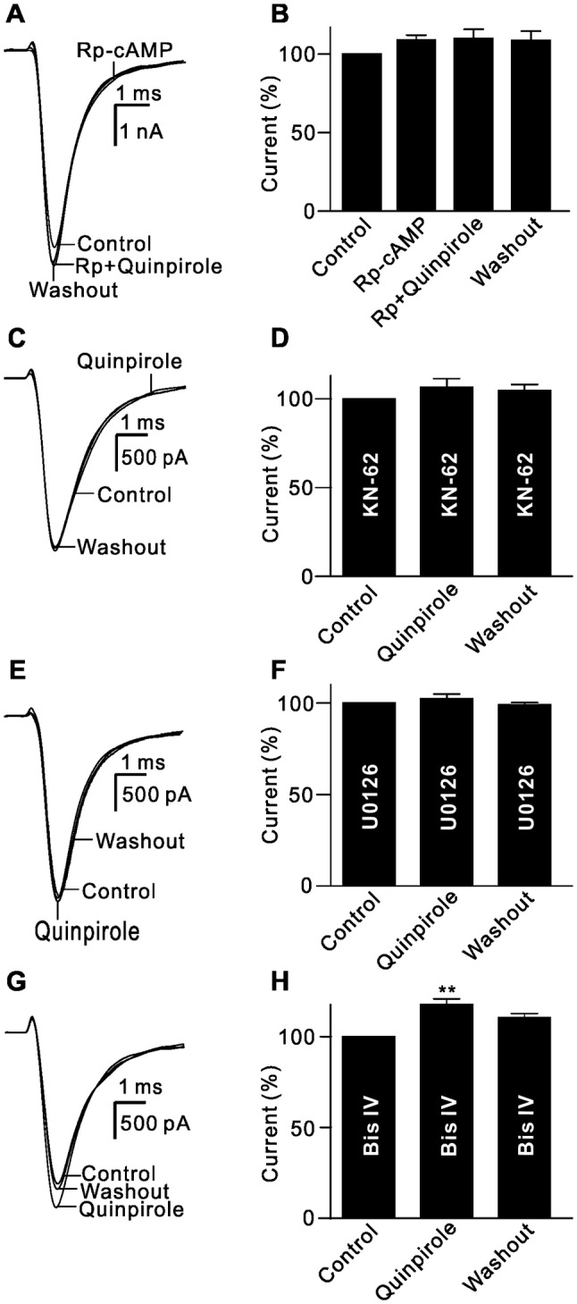 Fig. 7