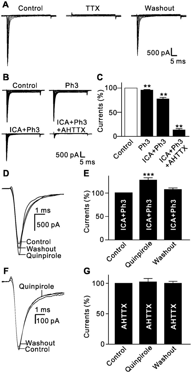 Fig. 6