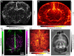 Fig. 33