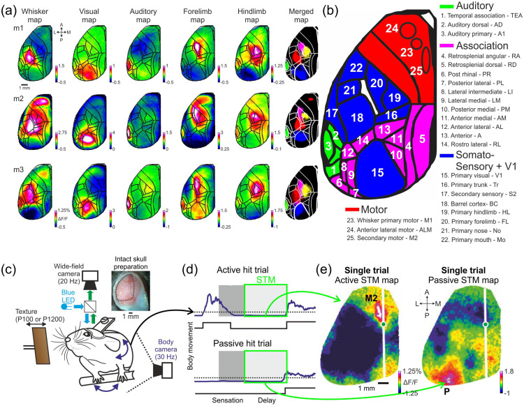 Fig. 18