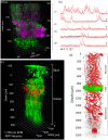 Fig. 27