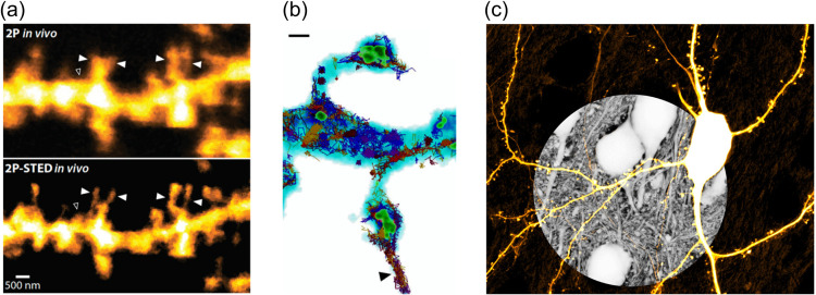 Fig. 3