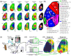 Fig. 18