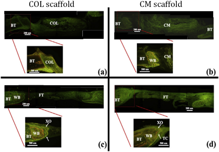 Fig. 3