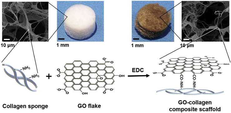 Fig. 4