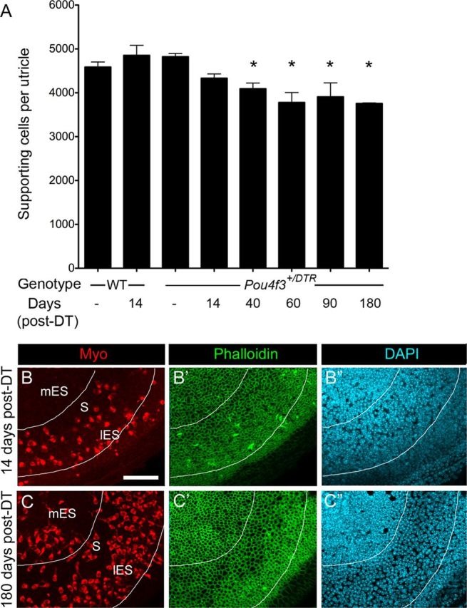 Figure 10.