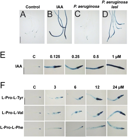 Fig. 3.