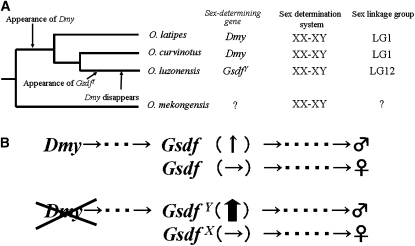 Figure 5 