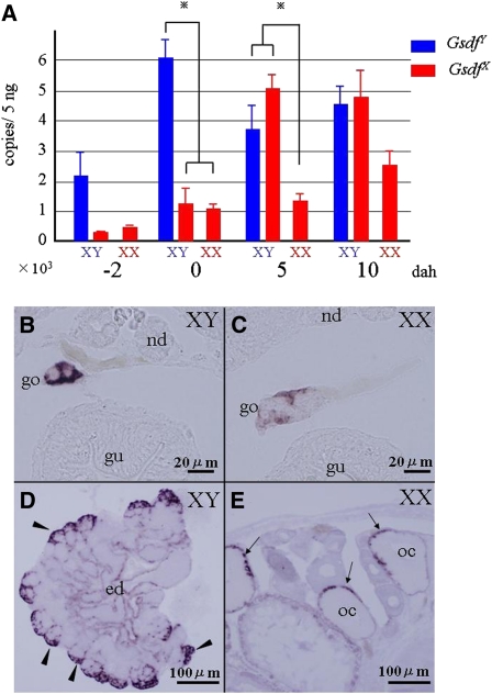 Figure 3 