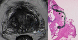 Fig. 13