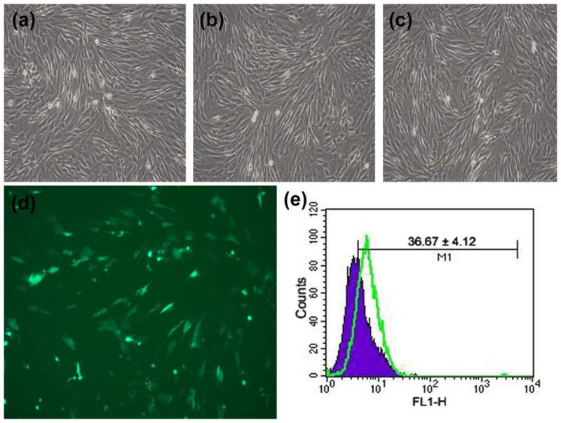 FIGURE 3