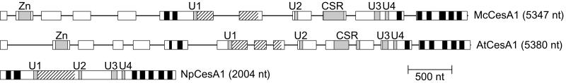 FIG. 5.