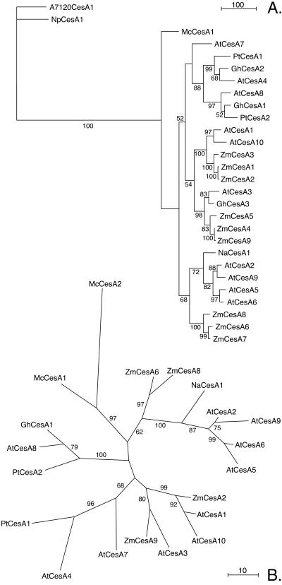 FIG. 6.