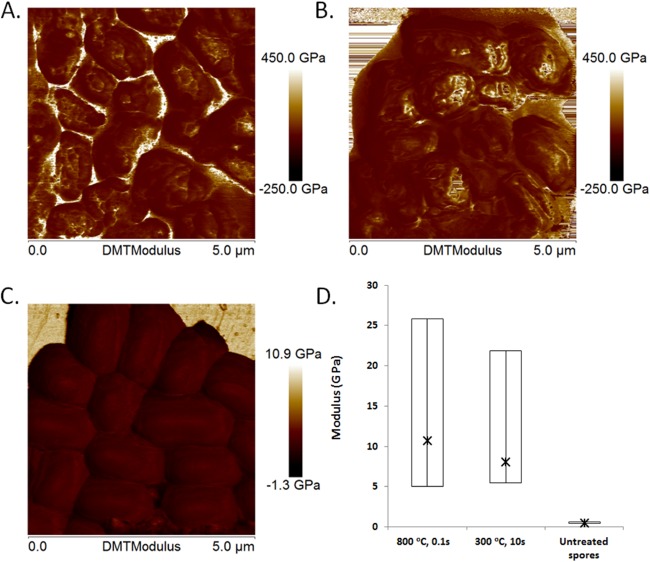 FIG 6