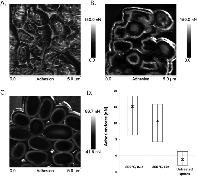 FIG 4