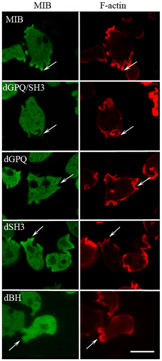 Figure 13