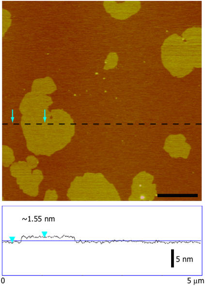 FIGURE 3