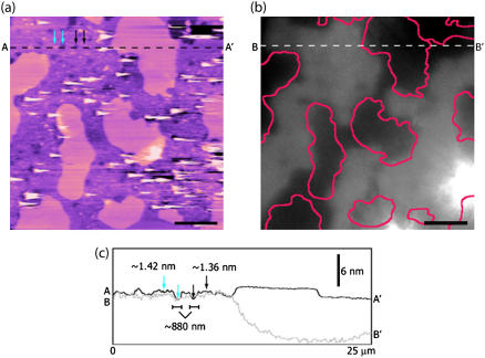 FIGURE 6