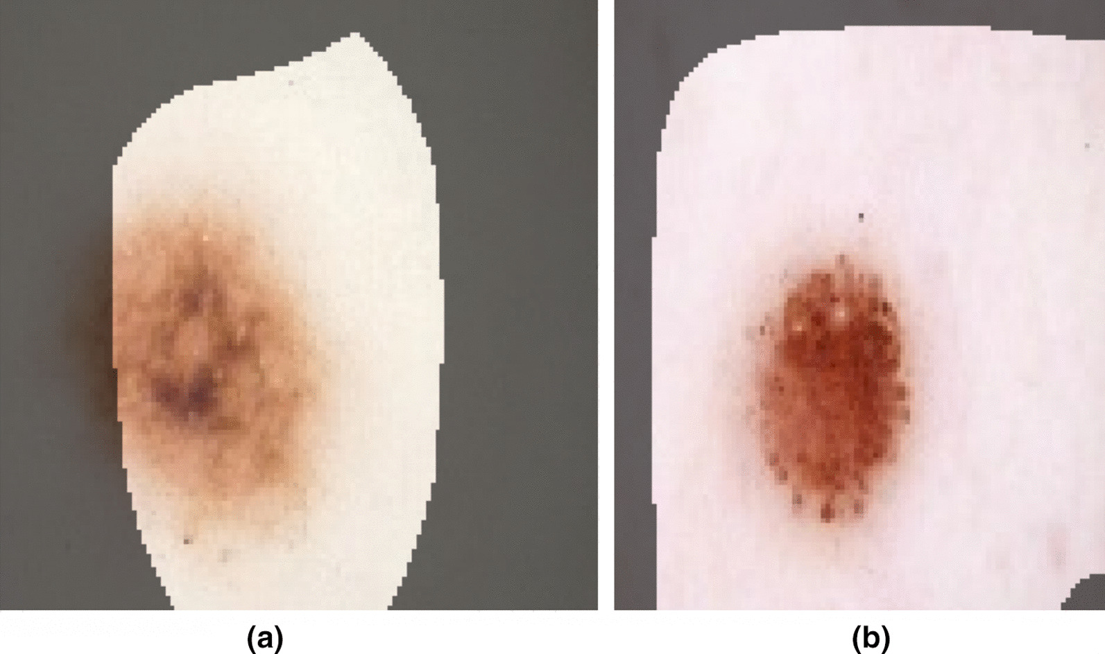 Fig. 5