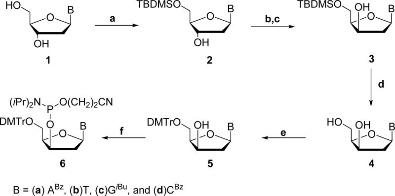 Scheme 2