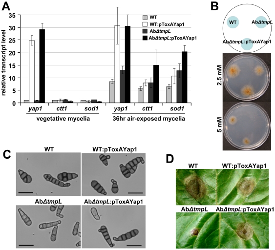 Figure 12