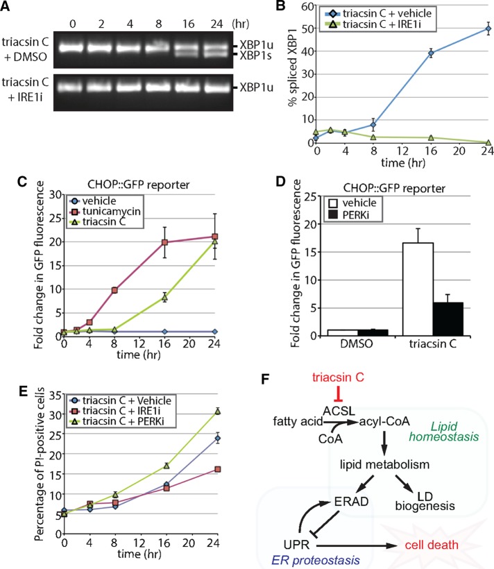 FIGURE 7: