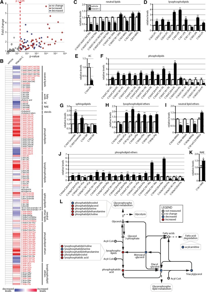 FIGURE 6: