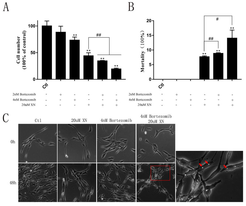 Figure 10