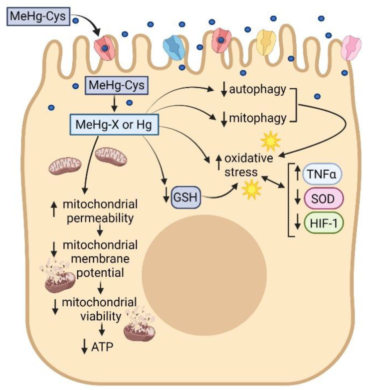 Figure 10