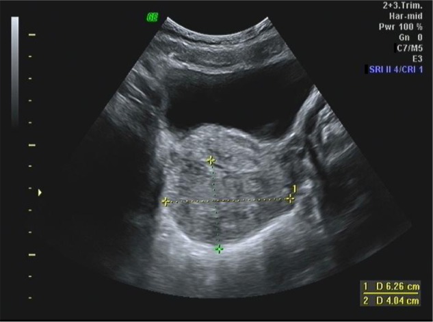 Figure 7