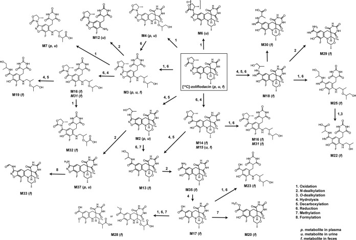 FIG 6