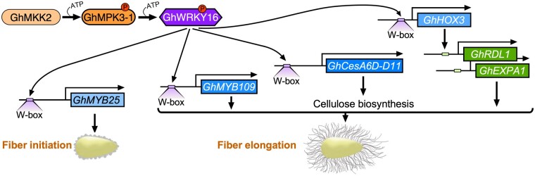 Figure 7