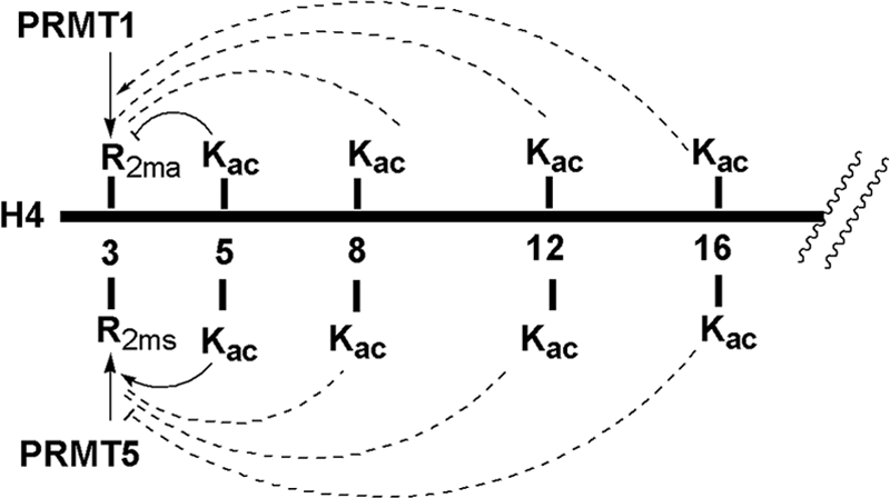 FIGURE 9.