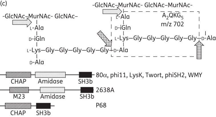 Figure 3.