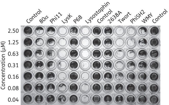 Figure 4.