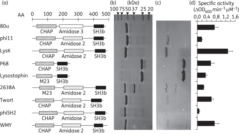 Figure 1.