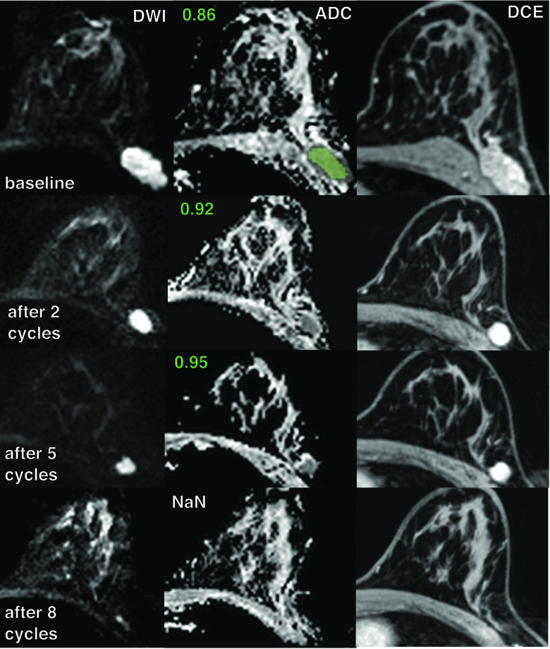 Fig. 6