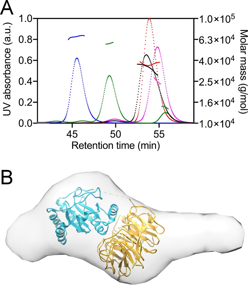 Fig 2