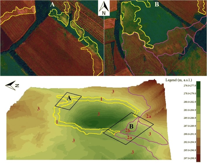 Fig. 9