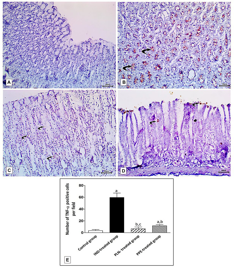 FIGURE 12