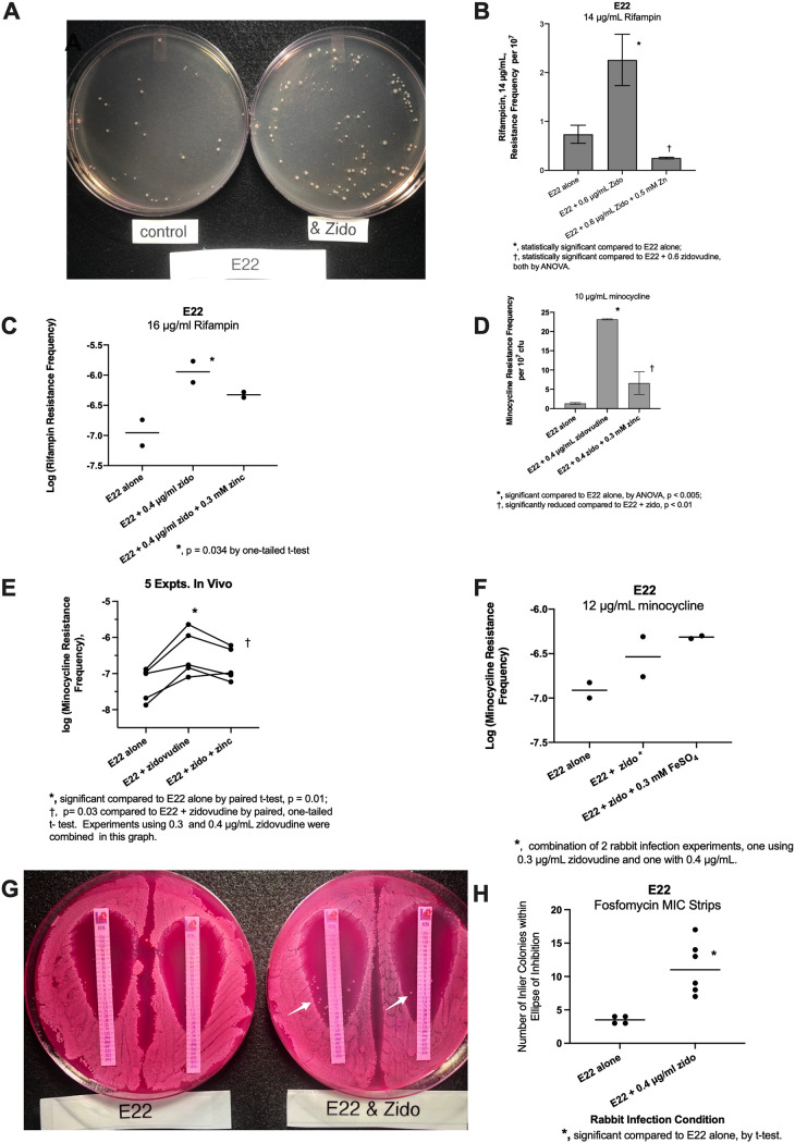 FIG 2