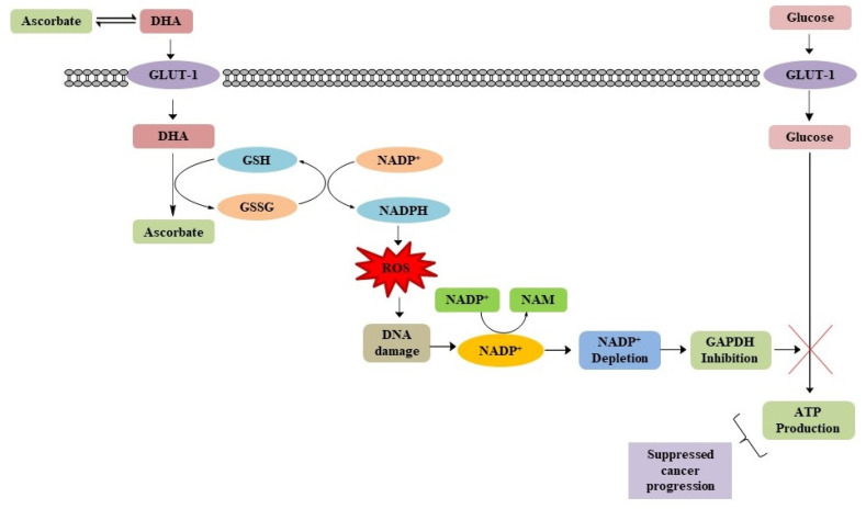 Figure 7