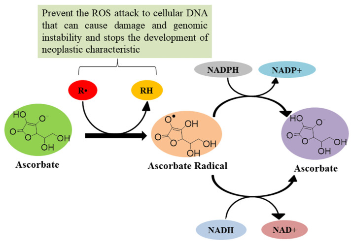 Figure 9